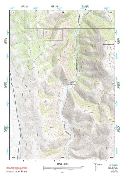 45117NE Page 91 Wallowa Topo Preview 1