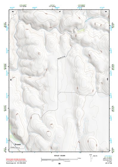45117NE Page 99 Wallowa Topo Preview 1