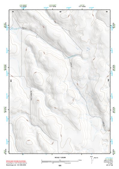 45117NE Page 101 Wallowa Topo Preview 1