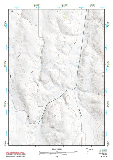 45117NE Page 102 Wallowa Topo Preview 1
