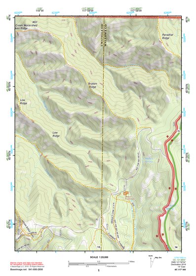 45117NW Page 1 Wallowa Topo Preview 1