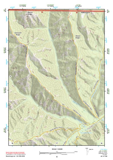 45117NW Page 5 Wallowa Topo Preview 1