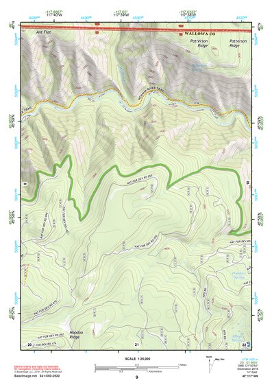 45117NW Page 9 Wallowa Topo Preview 1