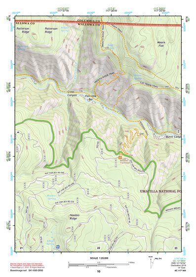 45117NW Page 10 Wallowa Topo Preview 1
