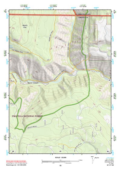 45117NW Page 11 Wallowa Topo Preview 1