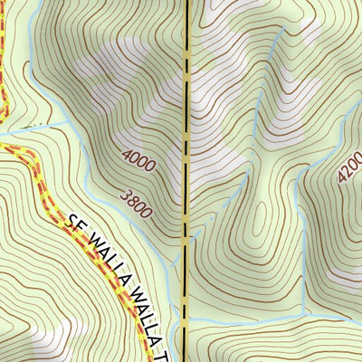45117NW Page 13 Wallowa Topo Preview 3
