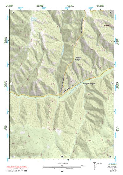45117NW Page 16 Wallowa Topo Preview 1