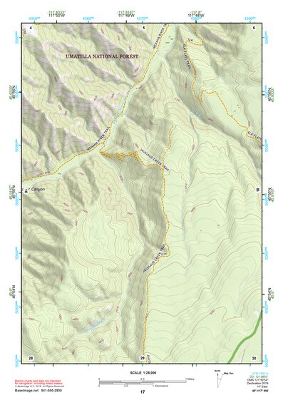 45117NW Page 17 Wallowa Topo Preview 1