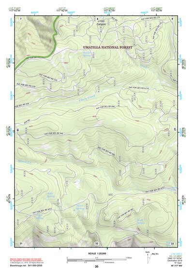 45117NW Page 20 Wallowa Topo Preview 1