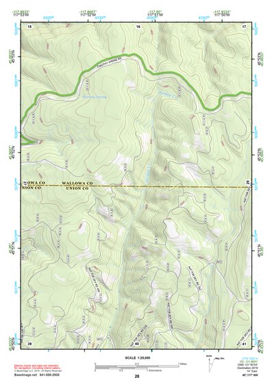 45117NW Page 28 Wallowa Topo Preview 1