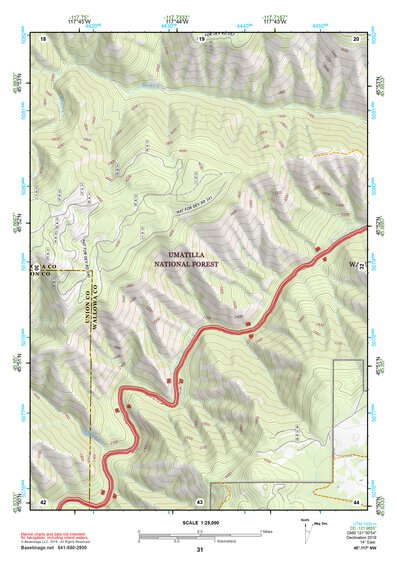 45117NW Page 31 Wallowa Topo Preview 1