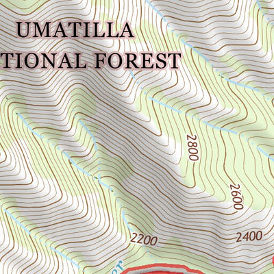 45117NW Page 31 Wallowa Topo Preview 2