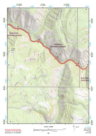 45117NW Page 33 Wallowa Topo Preview 1