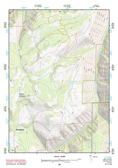 45117NW Page 36 Wallowa Topo Preview 1