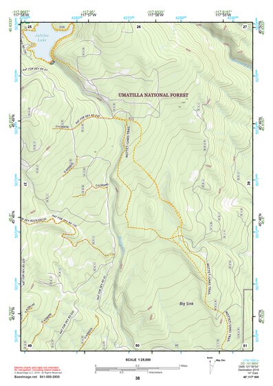 45117NW Page 38 Wallowa Topo Preview 1