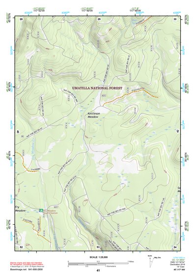 45117NW Page 41 Wallowa Topo Preview 1