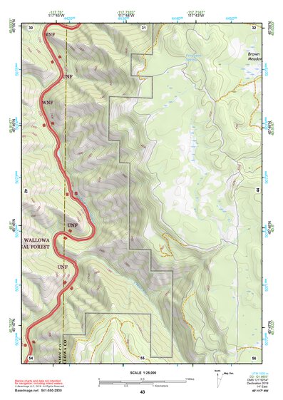 45117NW Page 43 Wallowa Topo Preview 1