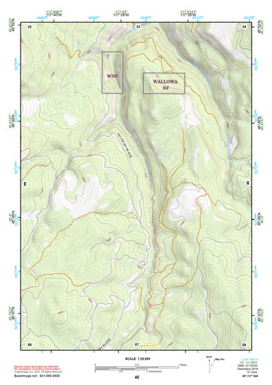 45117NW Page 45 Wallowa Topo Preview 1