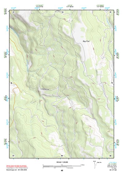 45117NW Page 46 Wallowa Topo Preview 1