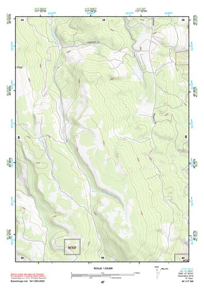 45117NW Page 47 Wallowa Topo Preview 1