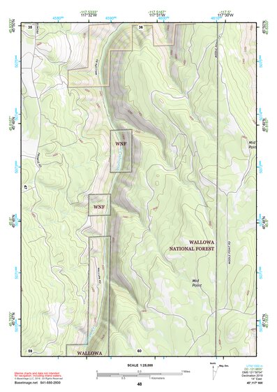 45117NW Page 48 Wallowa Topo Preview 1