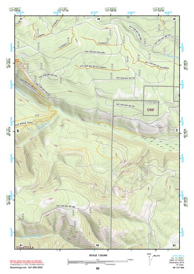 45117NW Page 50 Wallowa Topo Preview 1