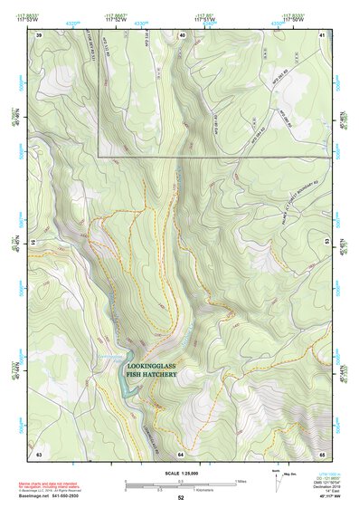 45117NW Page 52 Wallowa Topo Preview 1