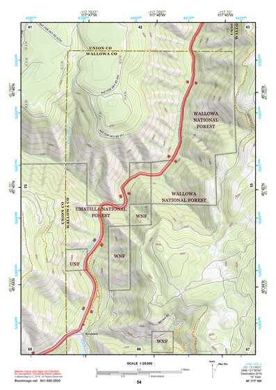 45117NW Page 54 Wallowa Topo Preview 1