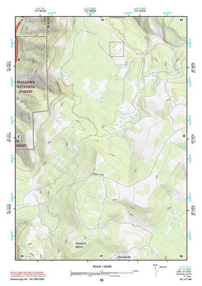 45117NW Page 55 Wallowa Topo Preview 1