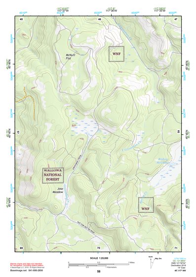 45117NW Page 58 Wallowa Topo Preview 1