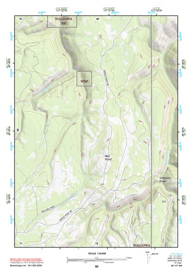 45117NW Page 60 Wallowa Topo Preview 1