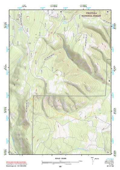 45117NW Page 61 Wallowa Topo Preview 1