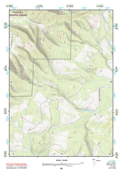 45117NW Page 62 Wallowa Topo Preview 1