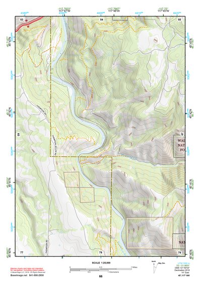 45117NW Page 66 Wallowa Topo Preview 1