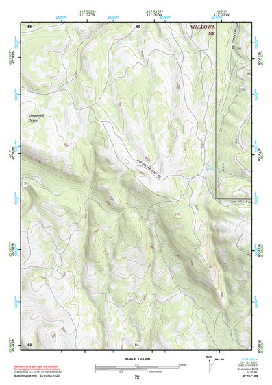 45117NW Page 72 Wallowa Topo Preview 1