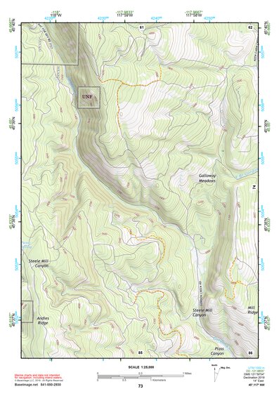 45117NW Page 73 Wallowa Topo Preview 1