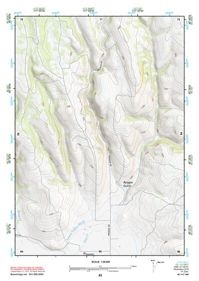 45117NW Page 83 Wallowa Topo Preview 1