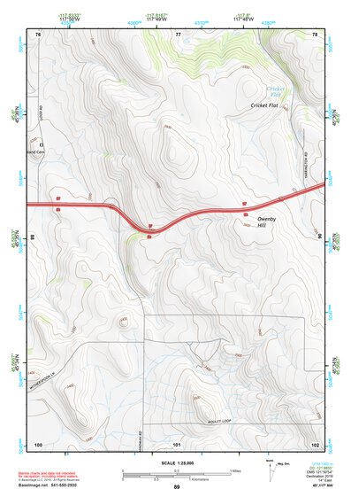 45117NW Page 89 Wallowa Topo Preview 1
