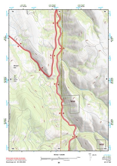 45117NW Page 91 Wallowa Topo Preview 1