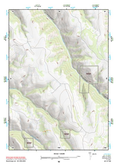 45117NW Page 92 Wallowa Topo Preview 1