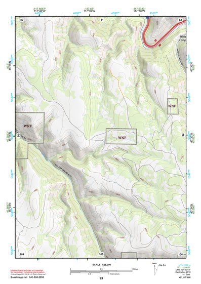 45117NW Page 93 Wallowa Topo Preview 1