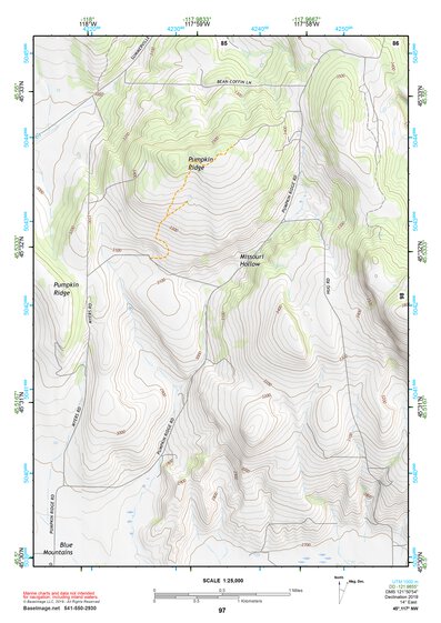 45117NW Page 97 Wallowa Topo Preview 1