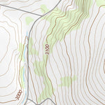 45117NW Page 97 Wallowa Topo Preview 2