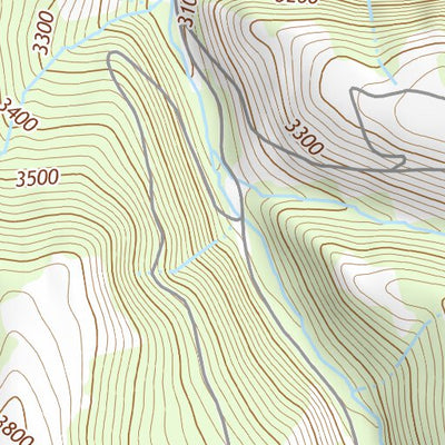 45117NW Page 101 Wallowa Topo Preview 3