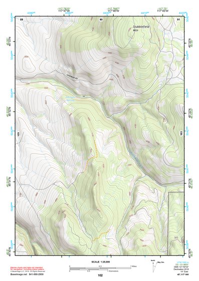 45117NW Page 102 Wallowa Topo Preview 1