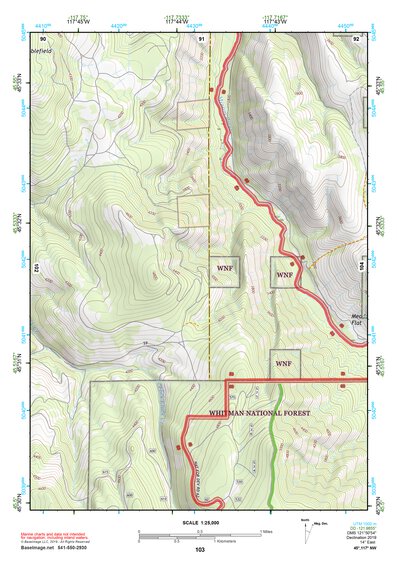 45117NW Page 103 Wallowa Topo Preview 1
