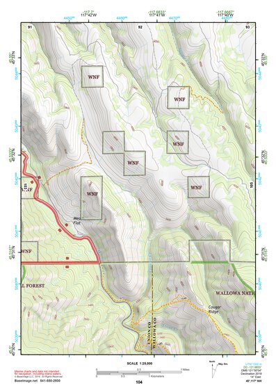 45117NW Page 104 Wallowa Topo Preview 1