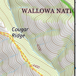 45117NW Page 104 Wallowa Topo Preview 3