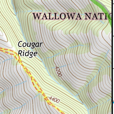 45117NW Page 104 Wallowa Topo Preview 3