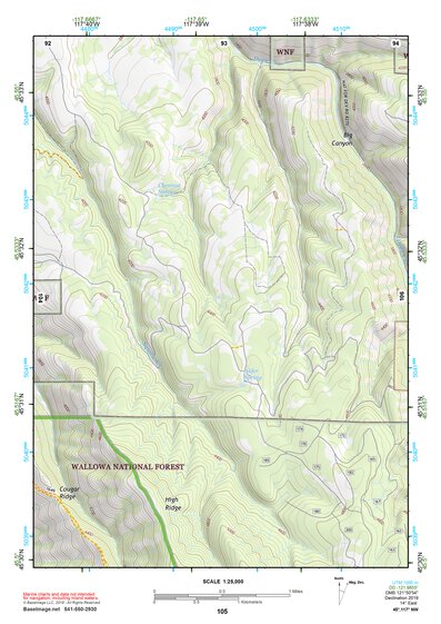 45117NW Page 105 Wallowa Topo Preview 1